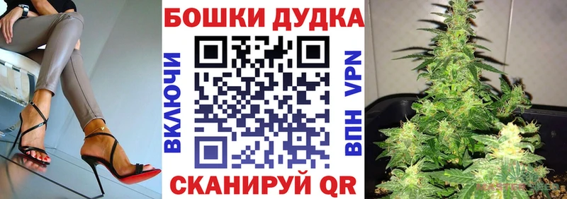 Купить  Отрадный  Канабис гибрид 